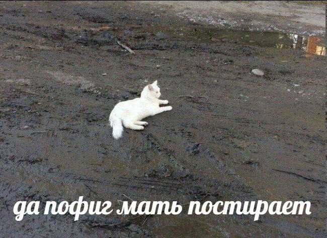 дапофиг мать постирает