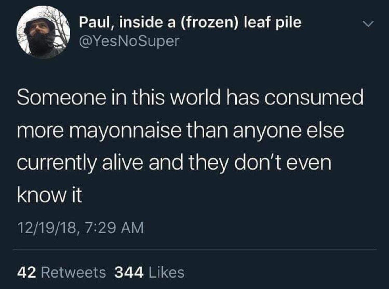 Paul, inside a (frozen) leaf pile С @YesNoSuper Someone in this world has consumed more mayonnaise than anyone else currently alive and they don't even know it 12/19/18, 7:29 42 Retweets 344 Likes