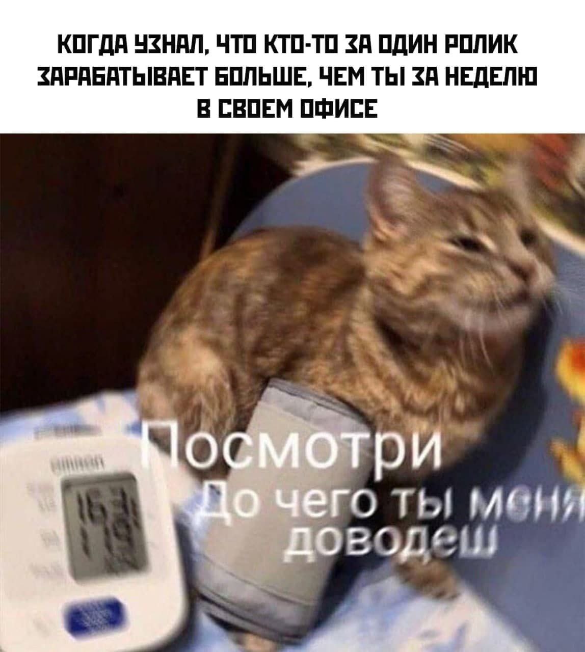 КОГДА УЗНАЛ, ЧТО КТО-ТО ЗА ОДИН РОЛИК ЗАРАБАТЫВАЕТ БОЛЬШЕ, ЧЕМ ТЫ ЗА НЕДЕЛЮ В СВОЕМ ОФИСЕ к меня a