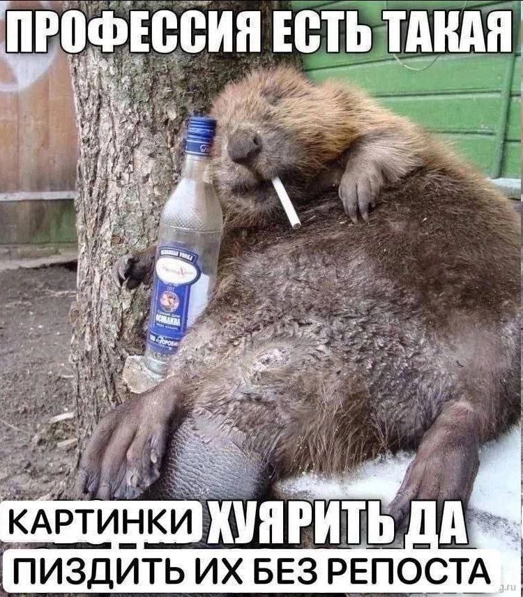 ПРОФЕССИЯ ЕСТЬ ТАКАЯ 1% #5, wee at КАРТИНКИ KVAPHTb ПИЗДИТЬ БЕЗ
