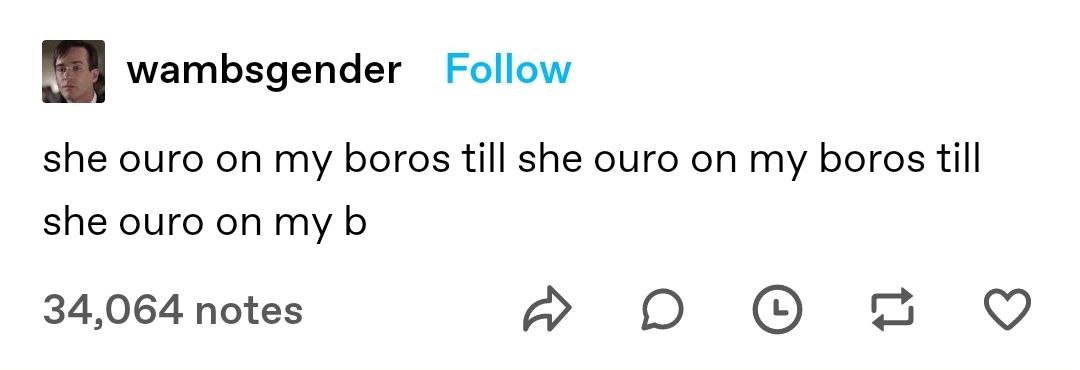 Follow she ouro boros till she ouro my boros till she ouro on my 34,064 notes о