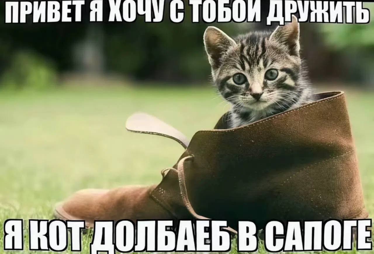 ПРИВЕТЯ 6 ТОБОИ ДРУЖИТЬ Я КОТ. ДОЛЬДЕБ В САПОГЕ