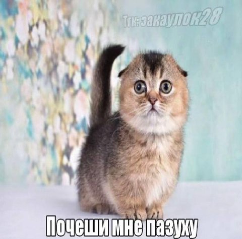 у! Почешим