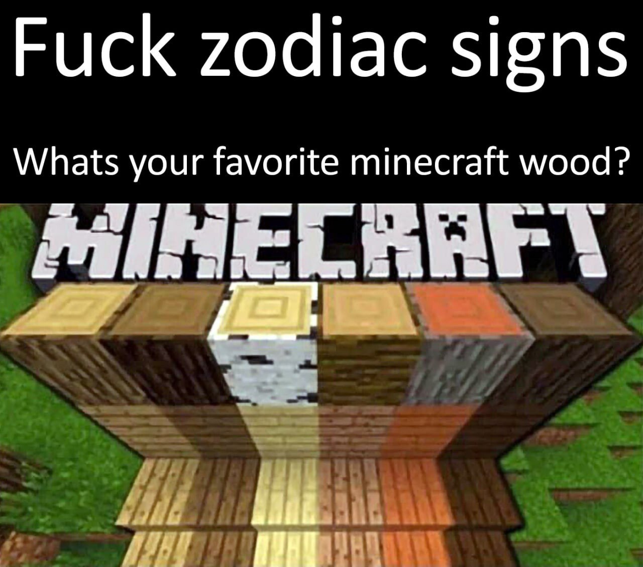 Fuck zodiac signs Whats your favorite minecraft wood?