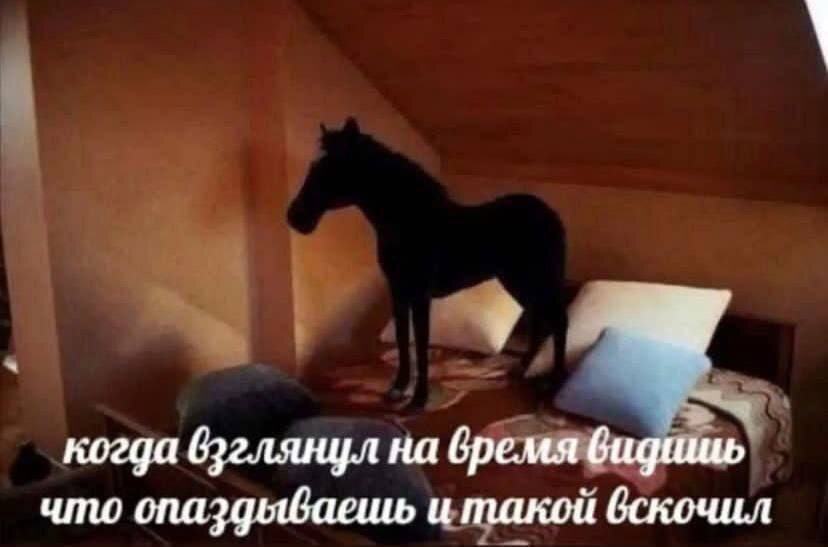 7 когда глянул на время что и такой вскочил