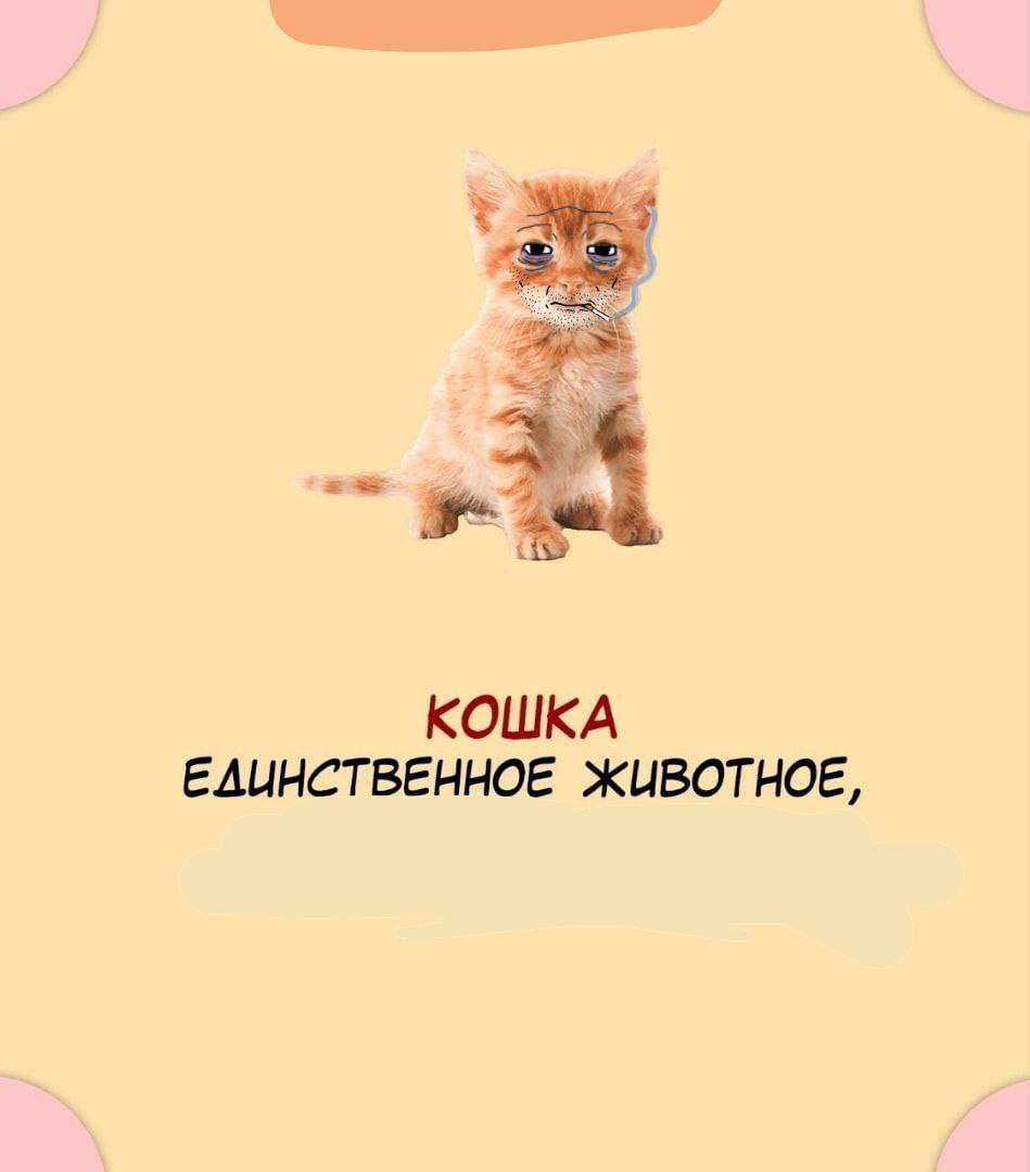 ЖИВОТНОЕ,