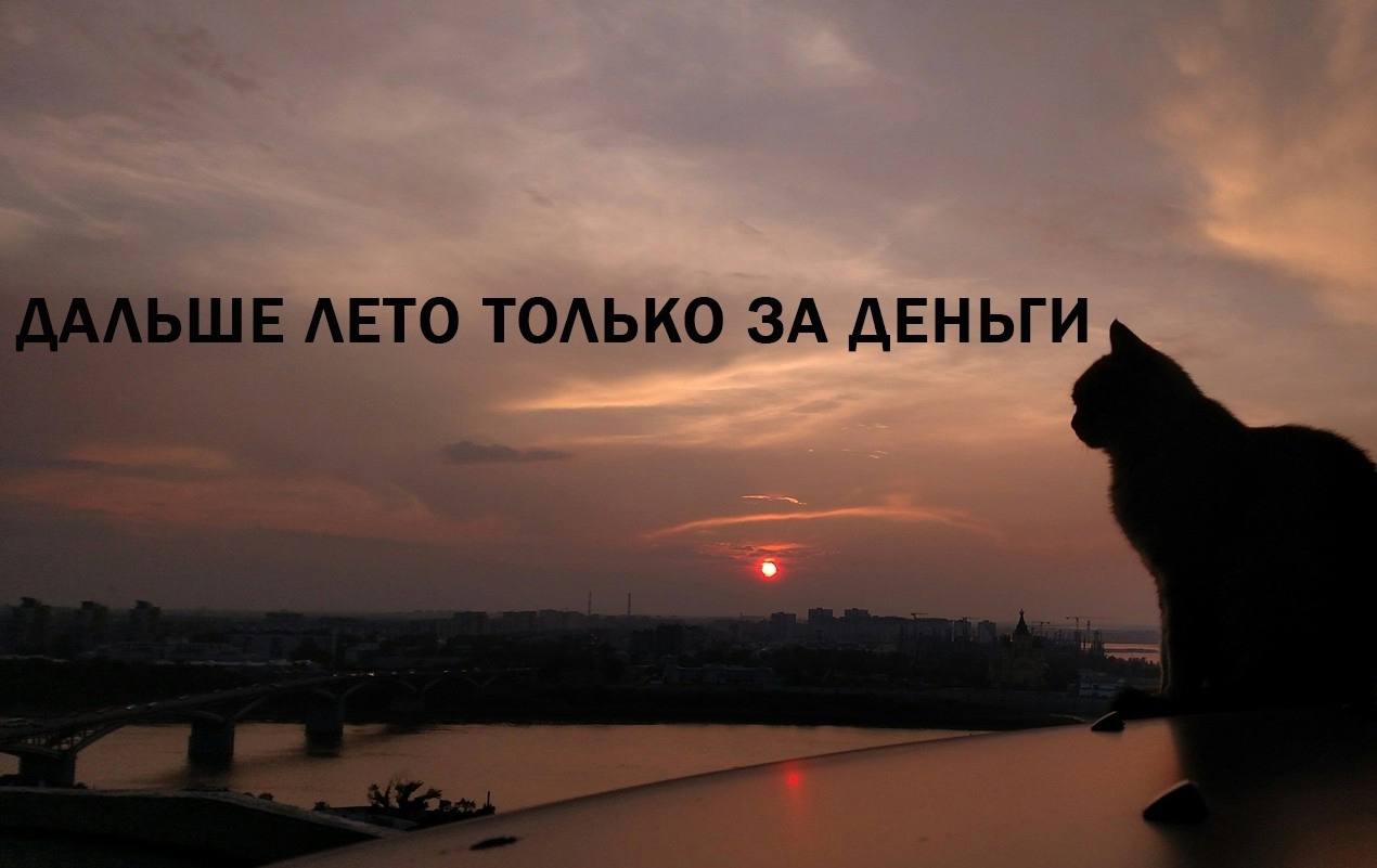 ЛЕТО ТОЛЬКО ЗА ДЕНЬГИ