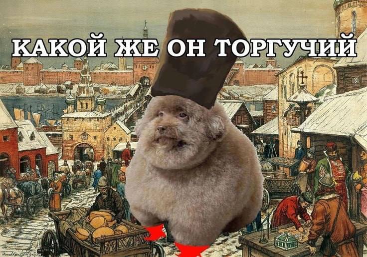 в, КАКОИ ЖЕ ОНТ ОРГУЧИИ if Foor