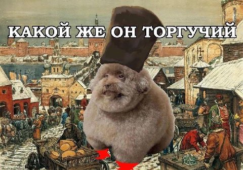 в, КАКОИ ЖЕ ОНТ ОРГУЧИИ if Foor