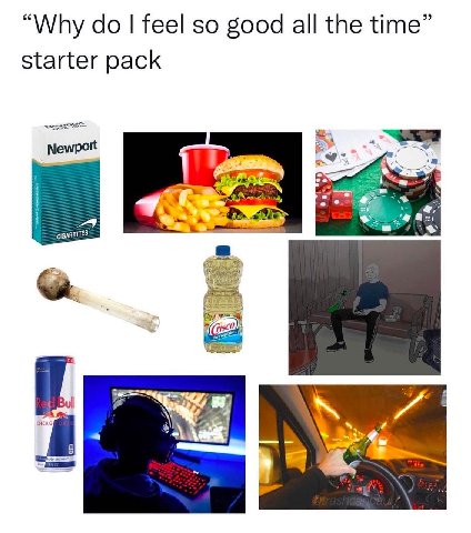 “Why feel so good all the time” starter pack