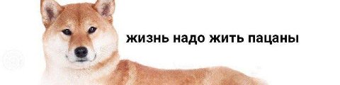 жизнь надо жить цаны if it у