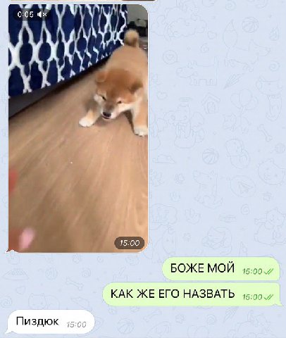 0:05 5 -1 15:00 БОЖЕ МОЙ 15:00 7 КАК ЖЕ ЕГО НАЗВАТЬ ПИЗДЮК 15:00