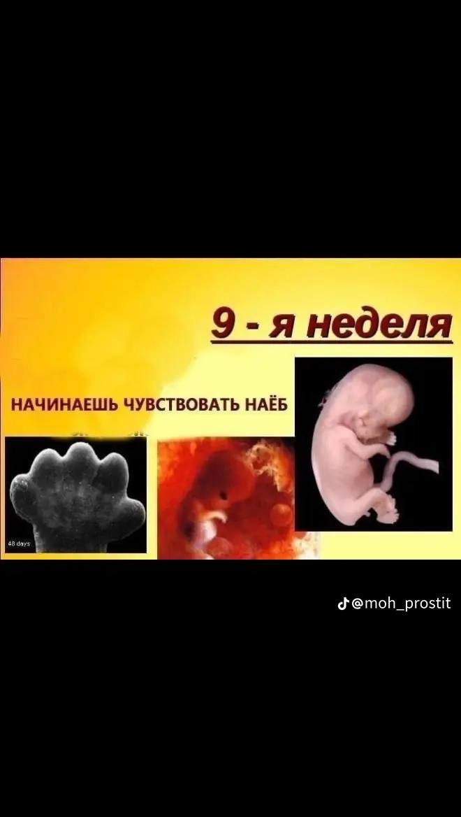 9 -я неделя НАЧИНАЕШЬ ЧУВСТВОВАТЬ НАЁБ 48 days 5