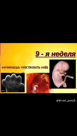9 -я неделя НАЧИНАЕШЬ ЧУВСТВОВАТЬ НАЁБ 48 days 5