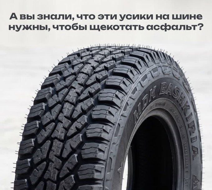 Авы знали, что эти усики на шине нужны, чтобы щекотать у,
