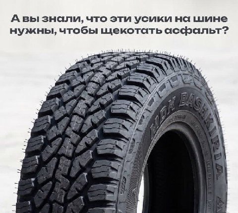 Авы знали, что эти усики на шине нужны, чтобы щекотать у,