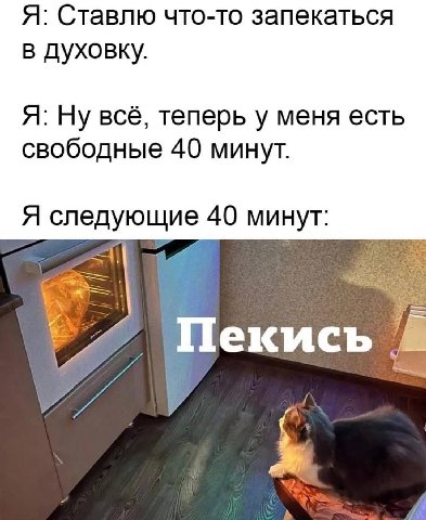 Я: Ставлю что-то запекаться в духовку. Я: Ну всё, теперь у меня есть свободные 40 минут. Я следующие 40 минут: