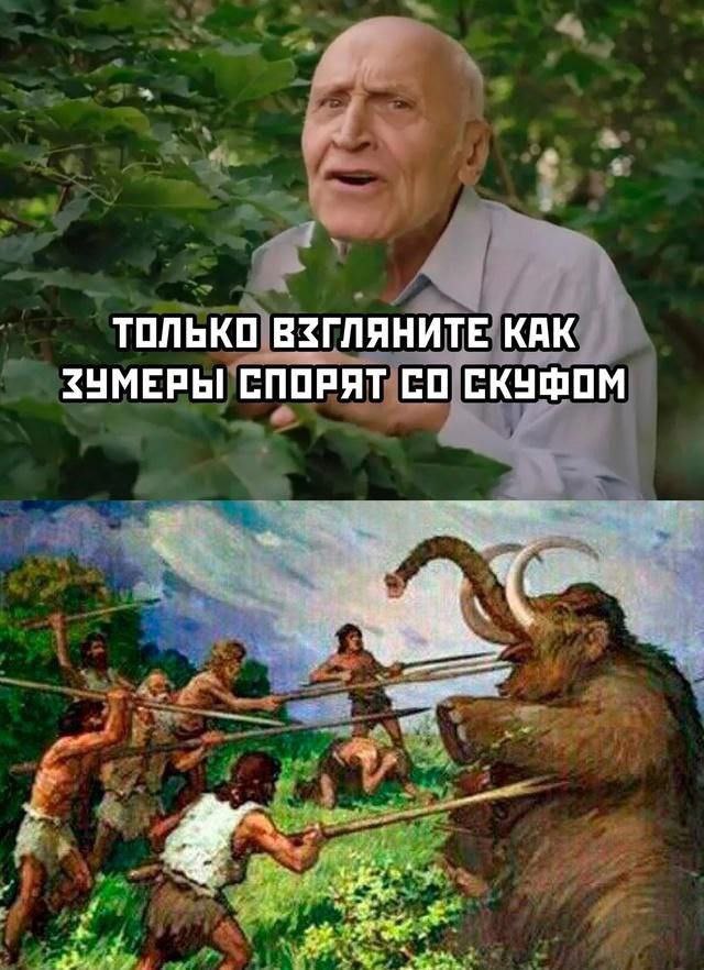 ТОЛЬКО ВЗГЛЯНИТЕ КАК ЗУМЕРЫ СПОРЯТ СКУФОМ 5