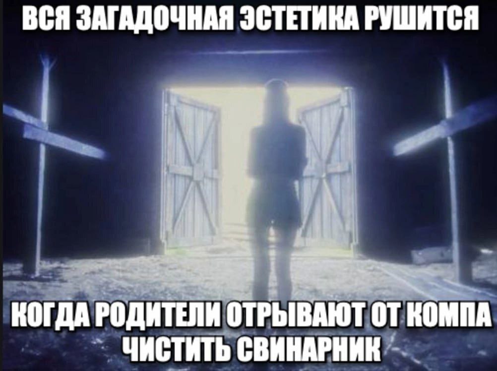 ВСЯ ЗАГАДОЧНАЯ ЭСТЕТИКА РУШИТСЯ КОГДА РОДИТЕЛИ ОТРЫВАЮТ ОТ КОМПА ЧИСТИТЬ СВИНАРНИК