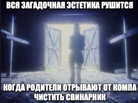 ВСЯ ЗАГАДОЧНАЯ ЭСТЕТИКА РУШИТСЯ КОГДА РОДИТЕЛИ ОТРЫВАЮТ ОТ КОМПА ЧИСТИТЬ СВИНАРНИК