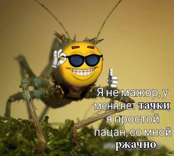 lie” Fue мажор, у менянет тачки я простои пацан. ржачно