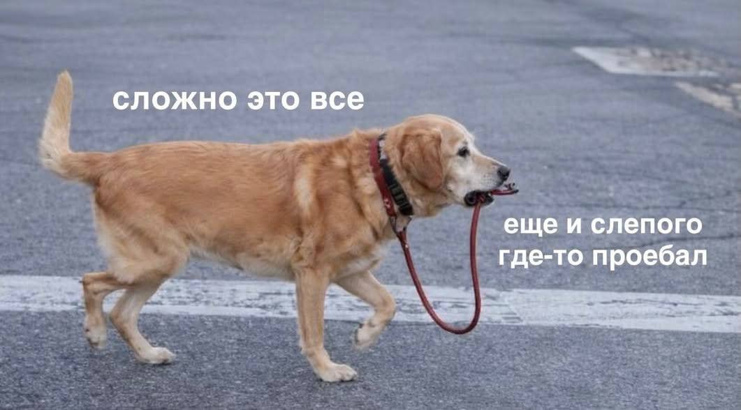 сложно это все еще и слепого где-то проебал