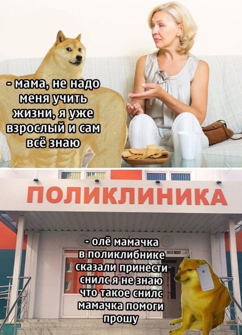 взроелый ПОЛИКЛИНИКА -олемамачка В; принести: CHUNG AjHe знаю 20 что такоесн иле мамачка ПОМОГИ