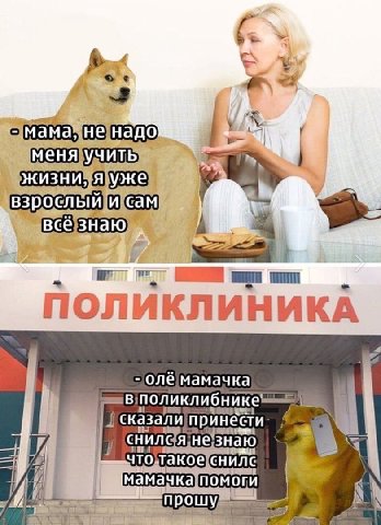 взроелый ПОЛИКЛИНИКА -олемамачка В; принести: CHUNG AjHe знаю 20 что такоесн иле мамачка ПОМОГИ