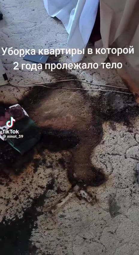 Уборка квартиры в которой ` 2 года пролежало тело —