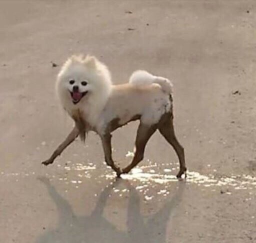 we