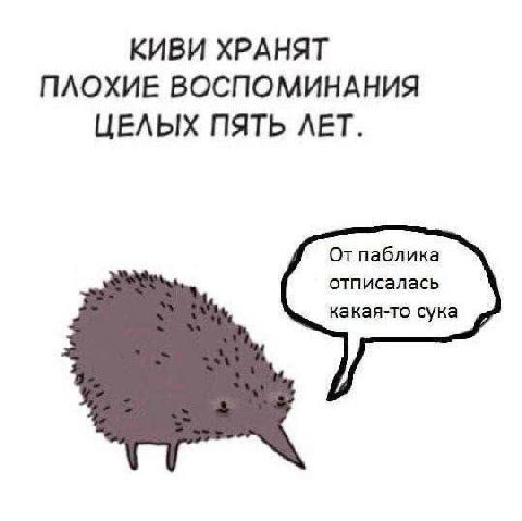 КИВИ ХРАНЯТ ПЛОХИЕ ВОСПОМИНАНИЯ ЦЕЛЫХ ПЯТЬ ЛЕТ. От паблика отписалась какая-то сука