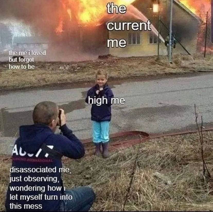 current me the meiloved forgot how to be high me disassociated just observing, wondering how let myself turn into this mess