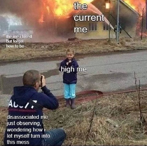 current me the meiloved forgot how to be high me disassociated just observing, wondering how let myself turn into this mess