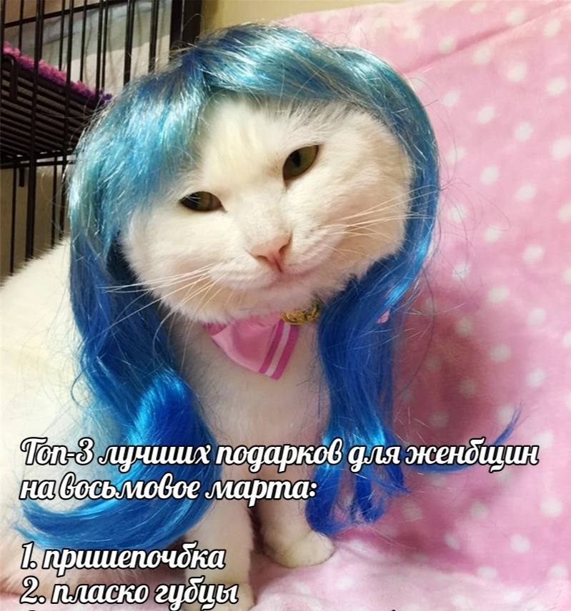 BAP. As лучишх для жендщин босьлловое марта 5