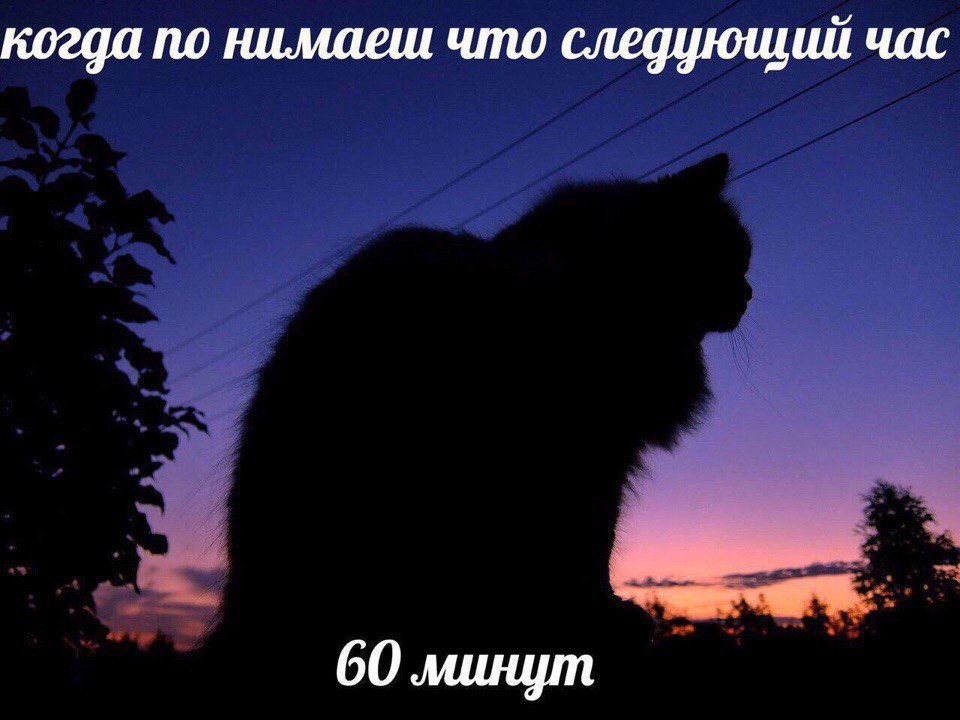 когда по нимаеш что следующий час 60 минут