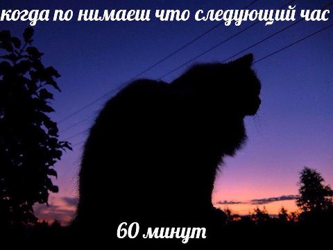 когда по нимаеш что следующий час 60 минут