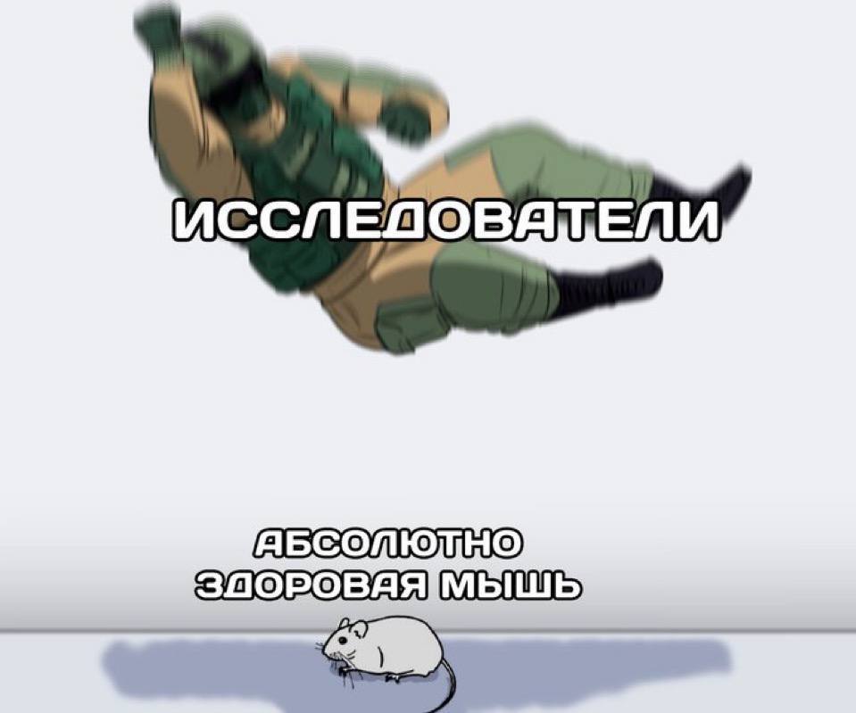 ИССЛЕ ВАЩЕЙИМ ABCOMOTHO
