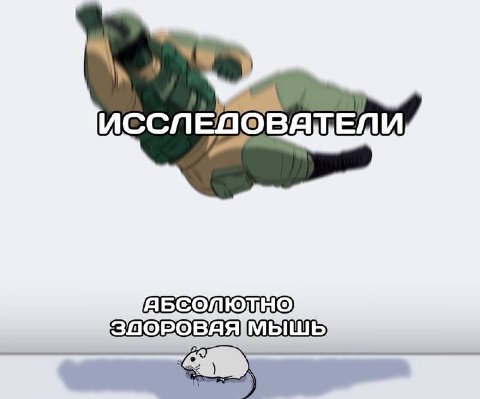 ИССЛЕ ВАЩЕЙИМ ABCOMOTHO
