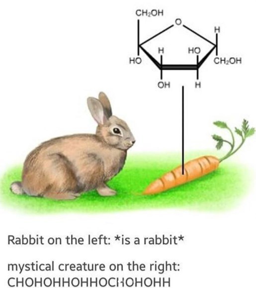 CH20H at Rabbit on the left: *is a rabbit* mystical creature on the right: CHOHOHHOHHOCIIOHOHH