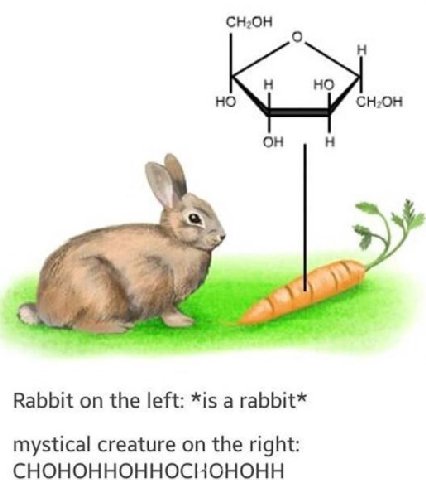 CH20H at Rabbit on the left: *is a rabbit* mystical creature on the right: CHOHOHHOHHOCIIOHOHH