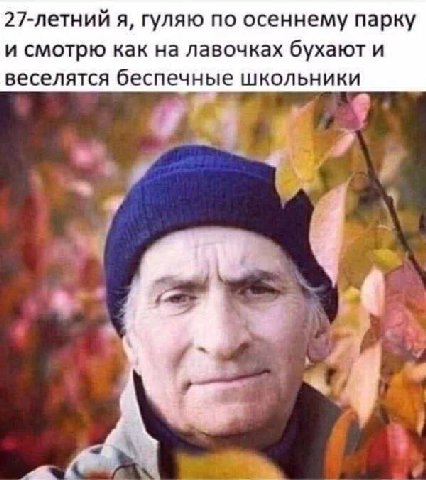 27-летний я, гуляю по осеннему парку и смотрю как на лавочках бухают и веселятся беспечные школьники 4 4