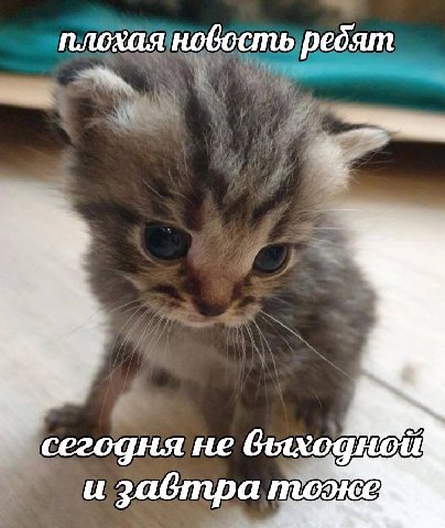 плохая новость редят сегодня не и забтра тоэюе