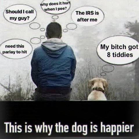 why does it Should I call pee? The guy? after me need My bitch got parlay to hit 8 tiddies This is why the dog is happier