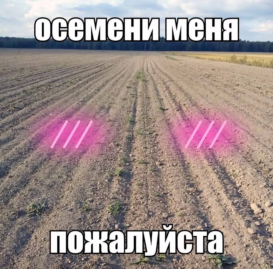 4 я a ate пожалуй