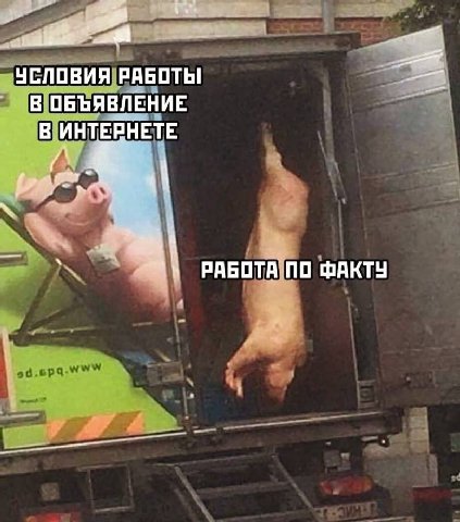 УСЛОВИЯ РАБОТЬ! В ОБЪЯВЛЕНИЕ В ИНТЕРНЕТЕ РАБОТА ПО ФАКТУ