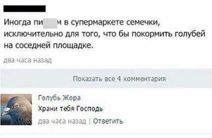 Иногда в супермаркете семечки, исключительно для того, что бы покормить голубей на соседней площадке, часа назад Показать все 4 комментария Голубь Жора Храни тебя Господь два часа назад Ответить