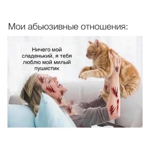 Мои абьюзивные отношения: Ничего мой сладенький, я тебя люблю мой милый пушистик a 4