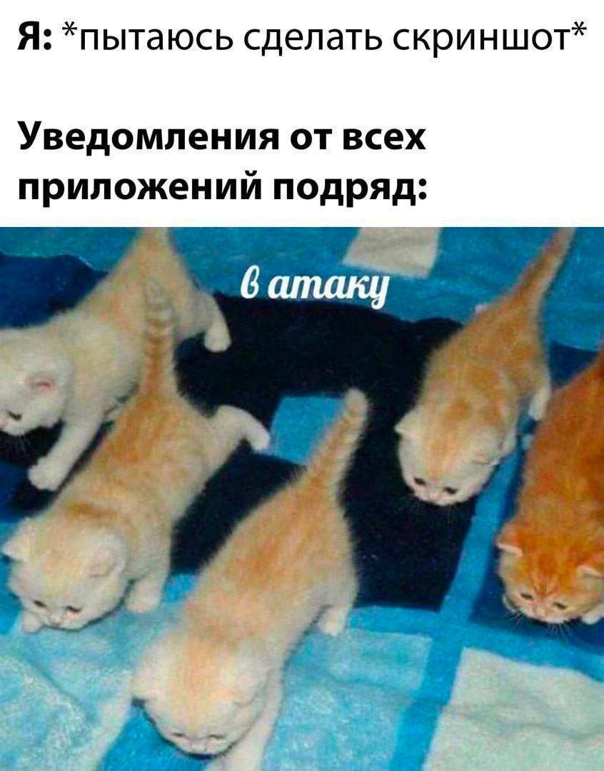 Я: *пытаюсь сделать скриншот* Уведомления от всех приложении подряд: у. 3 #3