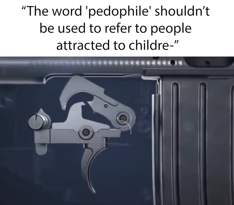 “The word ‘pedophile’ shouldn't be used to refer to people attracted to childre-”