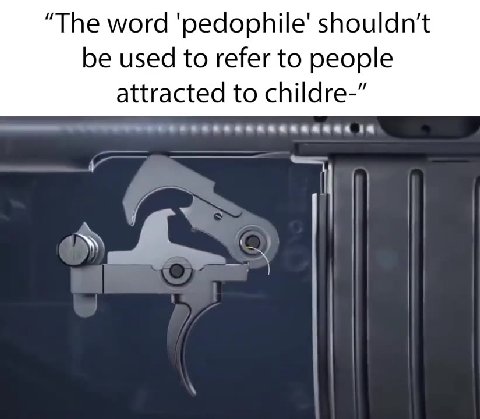 “The word ‘pedophile’ shouldn't be used to refer to people attracted to childre-”